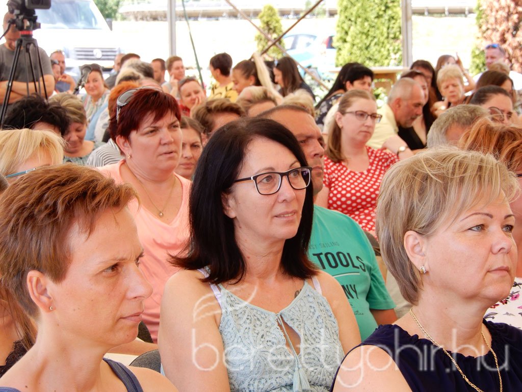 Semmelweis napi party 20